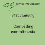 Delving into Judaism