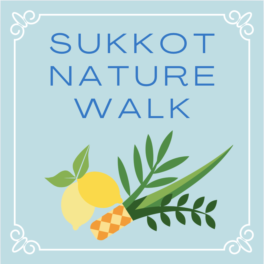 Sukkot Nature Walk