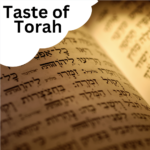Taste of Torah